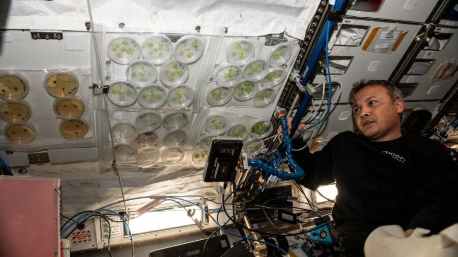 Türkiye’nin İlk Astronotu ISS’te Yaptığı METABOLOM Deneyiyle Uzay Koşullarının İnsan Sağlığı Üzerindeki Etkilerini Araştırdı