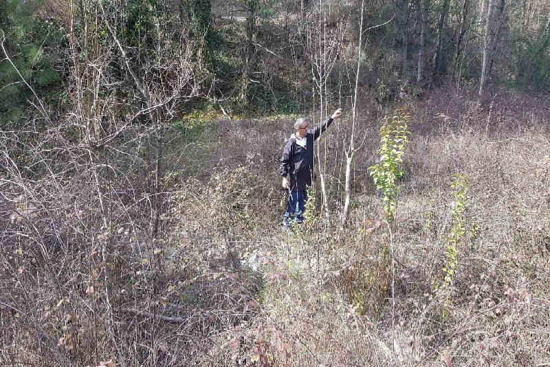 Karabük’te emekli imam 8 yıldır gezdiği doğada yok olmak üzere