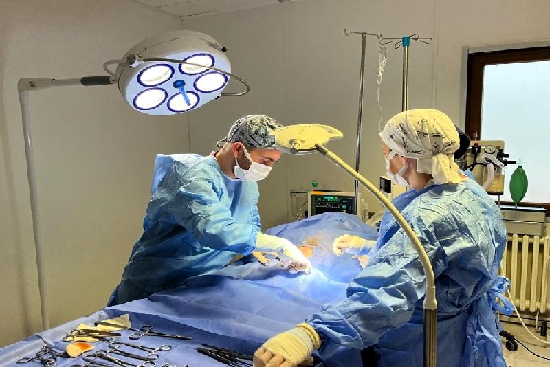 Kastamonu Üniversitesi Veteriner Fakültesi Hayvan Hastanesi’nde, idrar kesesinin yaklaşık yüzde