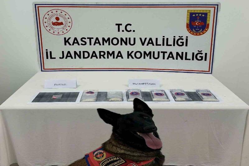 Kastamonu’nun Tosya ilçesinde jandarma ekiplerince bir ikamette yapılan aramada bir
