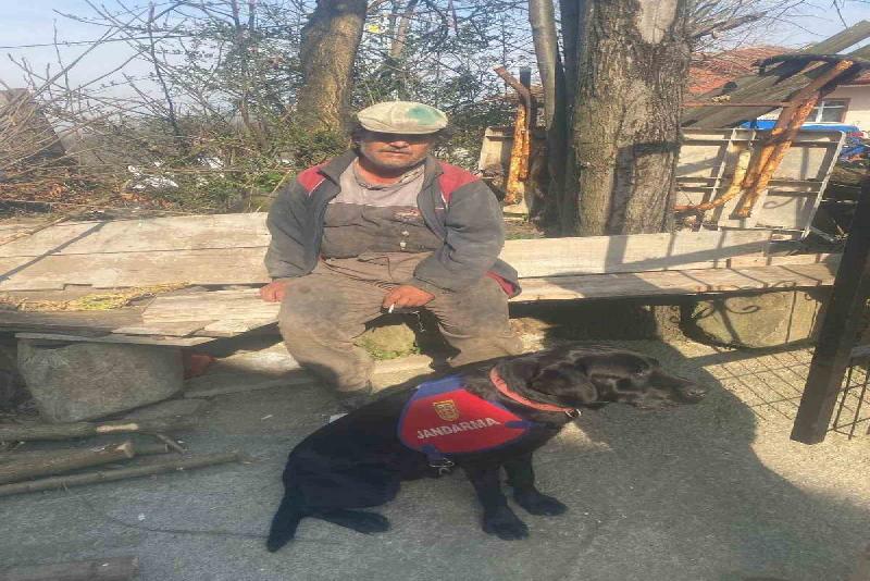 Zonguldak’ın Ereğli ilçesinde 70 yaşındaki zihinsel engelli M.Y., 35 personel,