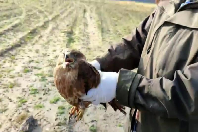 DÜZCE(İHA) – Düzce’de sindirim sisteminde oluşan enfeksiyon neticesinde uzun süre