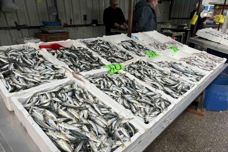 Zonguldak’ta Ramazan ayının ilk günlerde tezgahlarda olmayan balık yeniden kendini