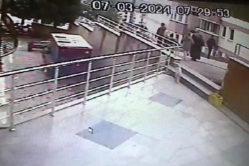 Karabük’te sokak kedilerine çarpan 2 sürücüye 14 bin 432 lira