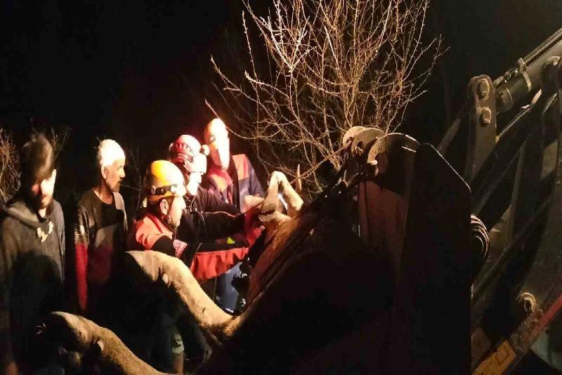 Karabük’ün Ovacık ilçesinde dere yatağına düşen hamile inek Afet ve