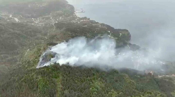 Kastamonu’da orman yangını: Ekiplerin müdahalesi sürüyor