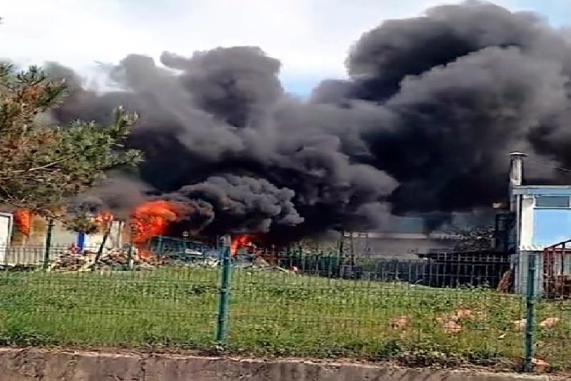 Bartın Organize Sanayi Bölgesindeki bir fabrikanın bahçesinde bulunan konteynerde çıkan