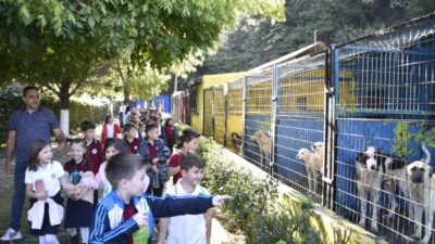 Kdz. Ereğli’deki değişik okullardan öğrenciler ve vatandaşlar, 4 Ekim Hayvan