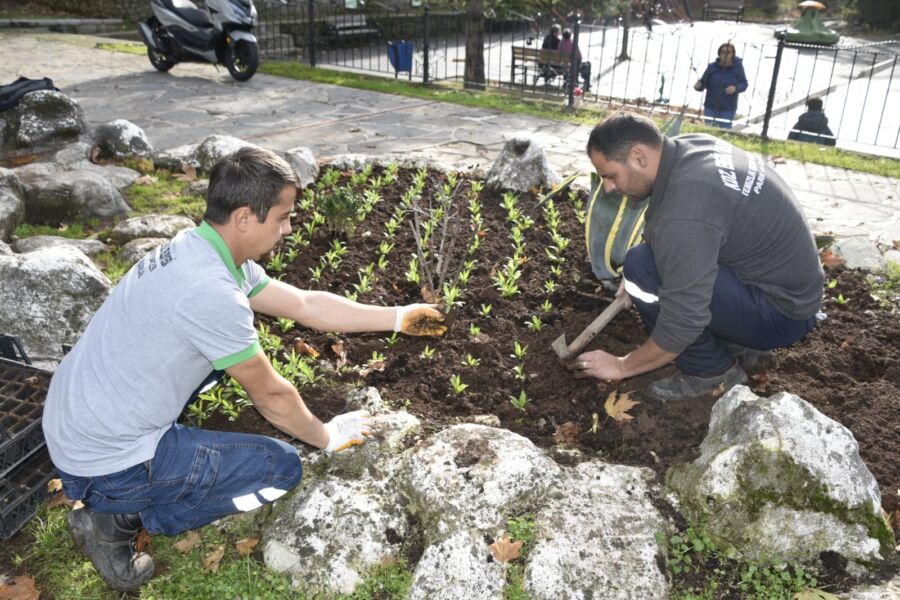 Her mevsimi bir başka güzel olan Kdz. Ereğli’de, refüjlere, caddelere,