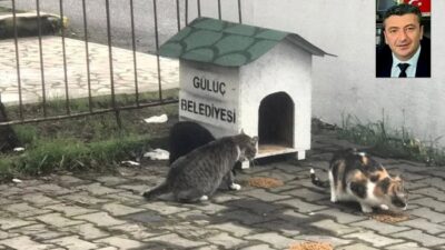 Kdz Ereğli’nin   Gülüç Beldesi AK Partili Belediye Başkanı Atilla Tarık