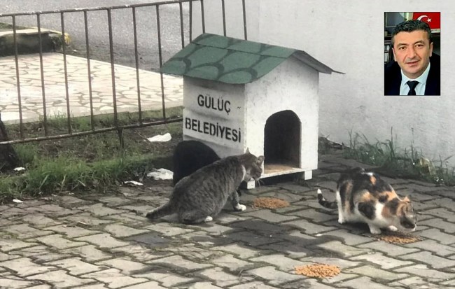 Kdz Ereğli’nin   Gülüç Beldesi AK Partili Belediye Başkanı Atilla Tarık