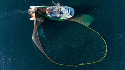 Tarım ve Orman Bakanlığı, su ürünleri avcılığına ilişkin kuralları yeniden