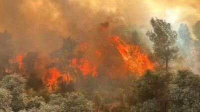Eskişehir’in Seyitgazi ilçesinde çıkan orman yangınına müdahale sırasında, alevlerin arasında