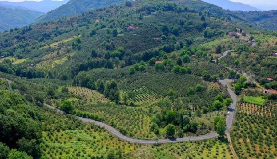 Ordu’nun Akkuş ilçesinden Samsun’a bağlantı sağlayan yolda asfalt çalışmaları devam