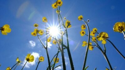 Yurt genelinde sıcaklıklar mevsim normallerinin üzerine çıkarken, kuzeydoğu bölgelerde sağanak