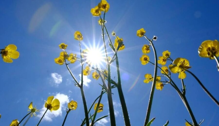 Yurt genelinde sıcaklıklar mevsim normallerinin üzerine çıkarken, kuzeydoğu bölgelerde sağanak