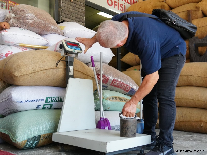 Düzce Belediyesi Zabıta Müdürlüğü, fındık hasadının başlaması ile birlikte fındık