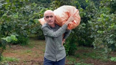 Giresun Ziraat Odası Başkanı Nurittin Karan’dan fındık üreticilerine kritik uyarı,