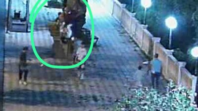 Gülüç Belediye Başkanlığı , Gülüç sahilinde bulunan  banklar, lükstrüm çiçekleri,maket