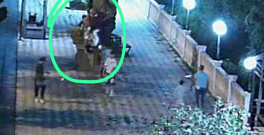 Gülüç Belediye Başkanlığı , Gülüç sahilinde bulunan  banklar, lükstrüm çiçekleri,maket