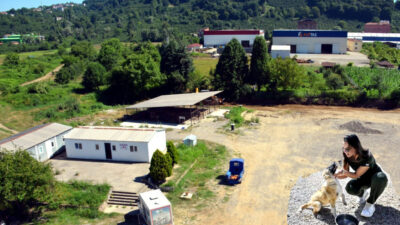 2014 yılında açılan ve 2019 yılında modernleştirildiği öne sürülen Alaplı