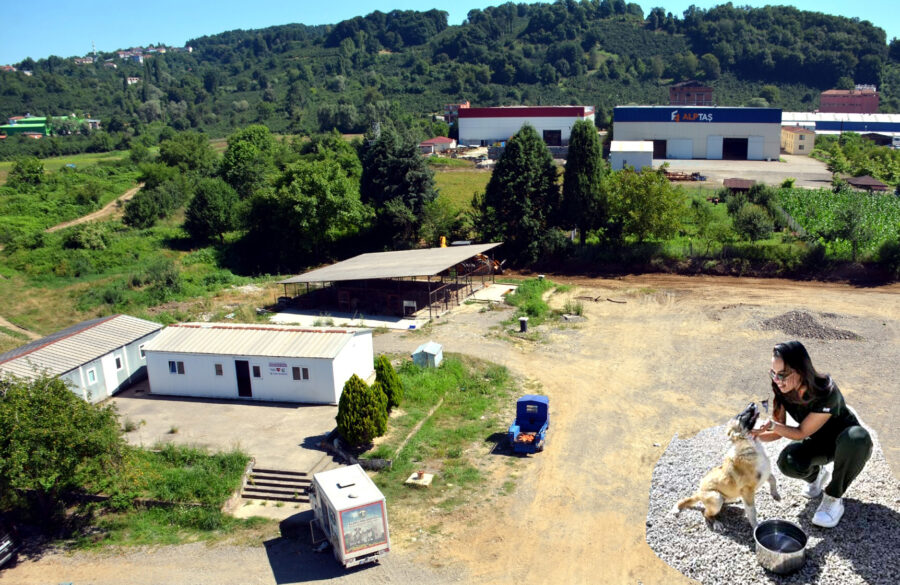 2014 yılında açılan ve 2019 yılında modernleştirildiği öne sürülen Alaplı