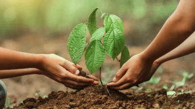 ANKARA-BHA Tarım ve Orman Bakanı İbrahim Yumaklı, 11 Kasım Milli