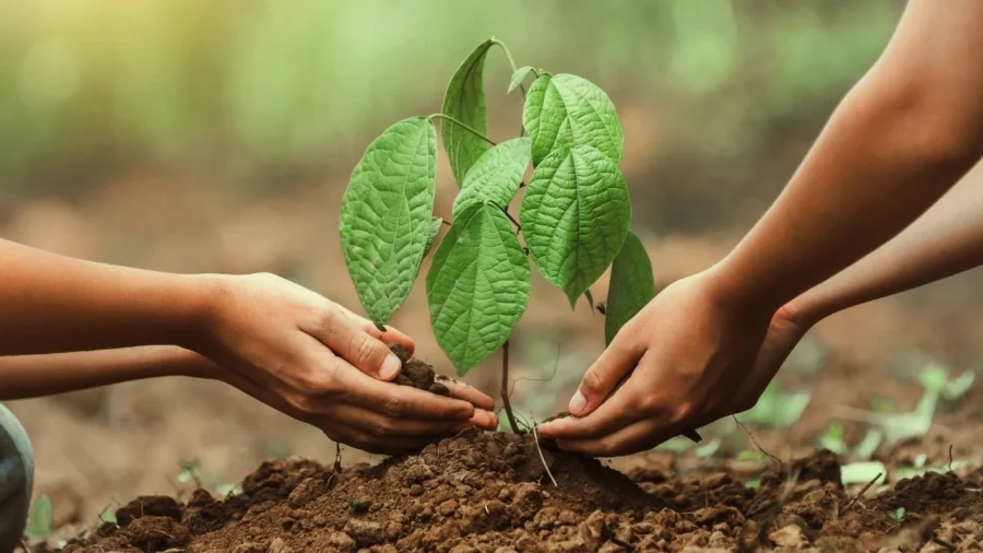 ANKARA-BHA Tarım ve Orman Bakanı İbrahim Yumaklı, 11 Kasım Milli