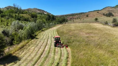 Verimli topraklarıyla öne çıkan Türkiye, fındık, incir, kayısı, haşhaş, kiraz,