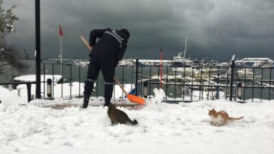 Kdz. Ereğli Belediyesi Veteriner İşleri Müdürlüğü, soğuk havada sokaktaki canları