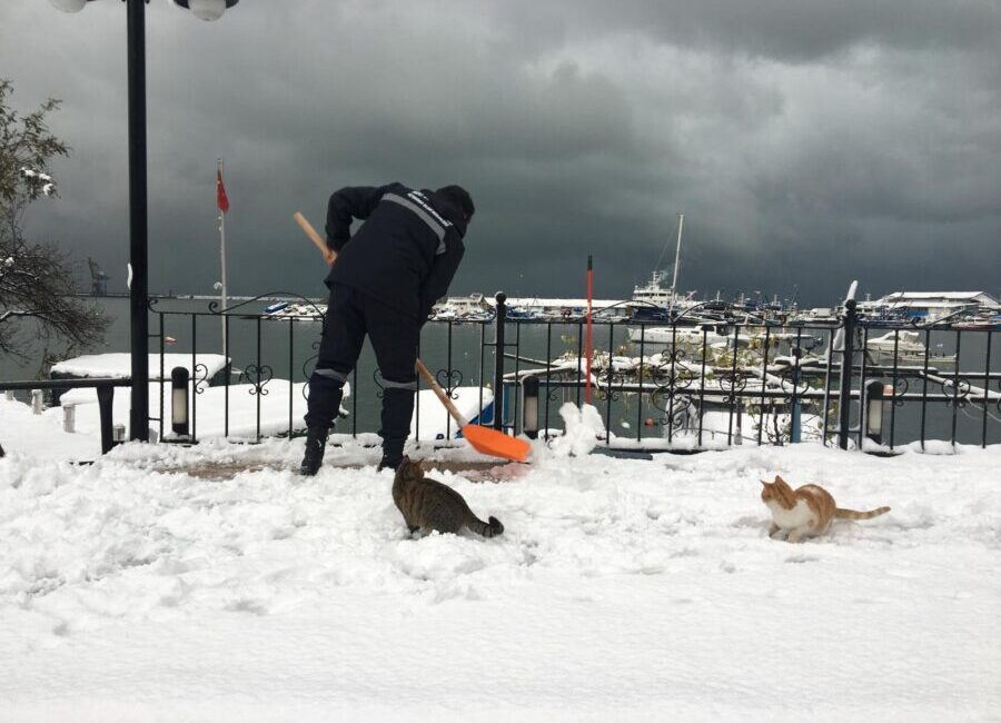KDZ. EREĞLİ BELEDİYESİ SOKAKTAKİ CANLARI UNUTMADI Kdz. Ereğli Belediyesi Veteriner İşleri Müdürlüğü, soğuk havada sokaktaki canları
