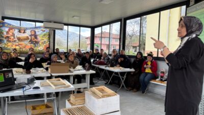 Hasbeyler Köyü’nde çoğunluğunu genç ve kadınların oluşturduğu arıcılık eğitiminin ikinci