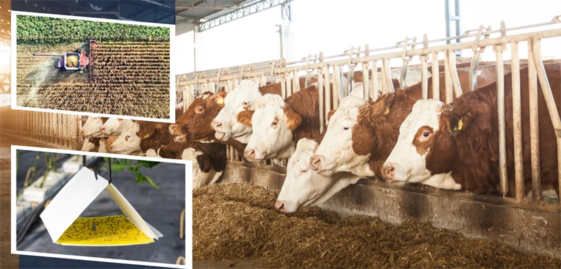 Tarım ve Orman Bakanı İbrahim Yumaklı, 350 milyon 968 bin