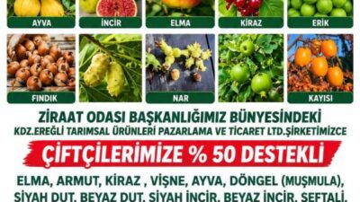 Karadeniz Ereğli Ziraat Odası Başkanlığı, bünyesindeki tarımsal şirket aracılığıyla çiftçilere