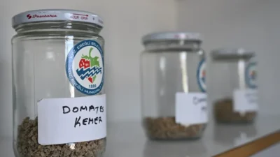 Kdz. Ereğli Belediyesi, 2027 yılında en az 400 bin ata