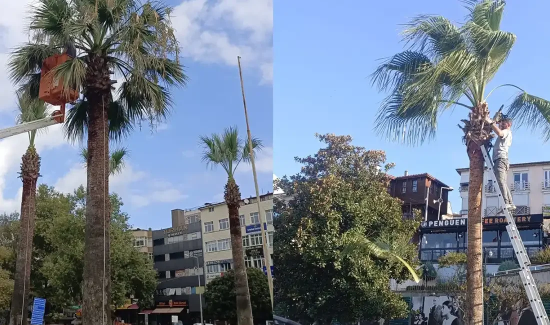 Kdz. Ereğli Belediyesi, sahil güzergâhı ve kentin farklı noktalarında bulunan