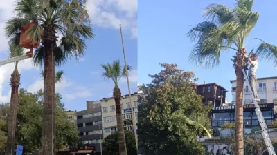 Kdz. Ereğli Belediyesi, sahil güzergâhı ve kentin farklı noktalarında bulunan