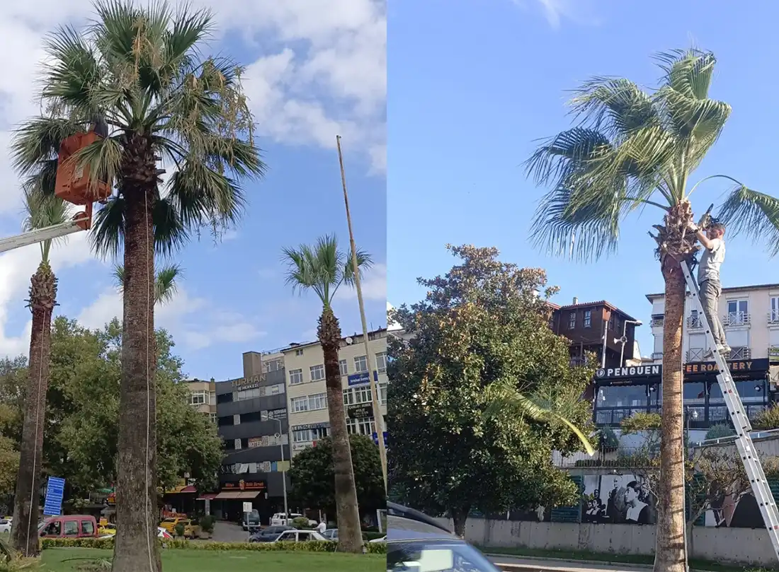 Kdz. Ereğli Belediyesi, sahil güzergâhı ve kentin farklı noktalarında bulunan